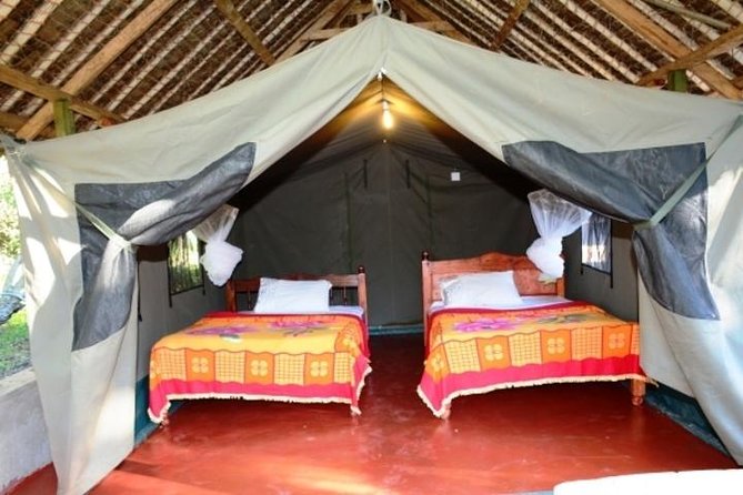 8 Days Kenya and Tanzania Private Lodging Safari from Nairobi - Day 5: From Serengeti toward Ngorongoro