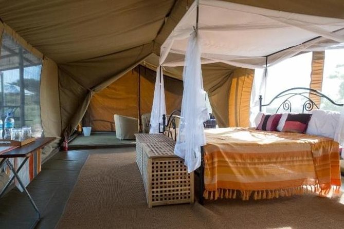 8 Days Kenya and Tanzania Private Lodging Safari from Nairobi - Day 6: Ngorongoro Crater from sunrise