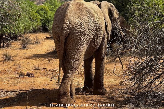 8 Days: Tsavo East National Park Amboseli, Nakuru, Maasai Mara Park - Four parks, four very different safari moods