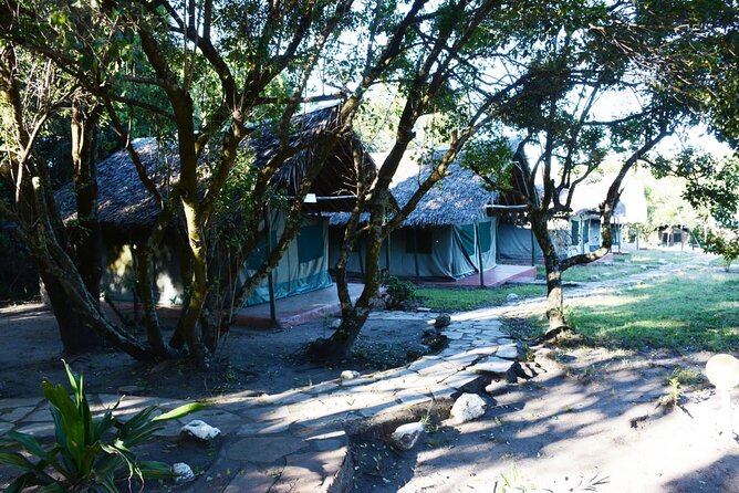 9 days, 8 nights budget Kenya and Tanzania safari - Day 3: Lake Naivasha and an afternoon on the water