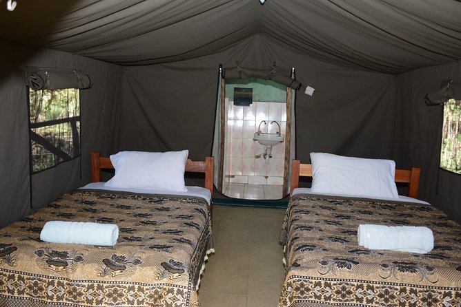 9 days, 8 nights budget Kenya and Tanzania safari - Days 6 and 7: Two days in Serengeti National Park