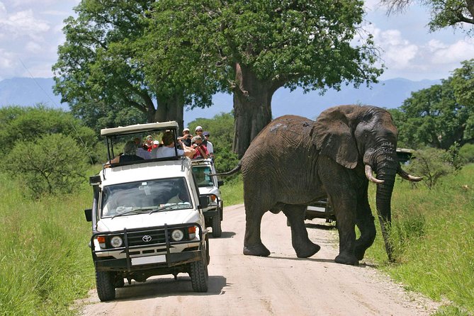 9-Days Best of Kenya Wildlife Private 4X4 Jeep Safari - Why this nine-day route works