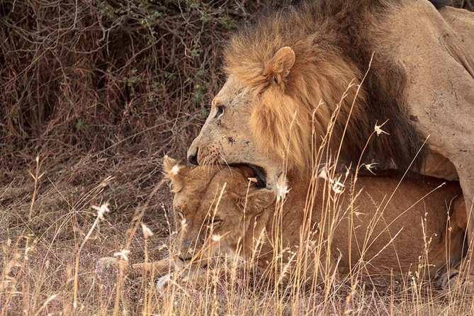 9- Days Classic Kenya Family Safari - Day 4: Lake Naivasha by boat