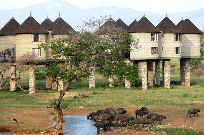 9 Days Kenya Classic Lodge Safari - Lodges, meals, and the open-top minivan