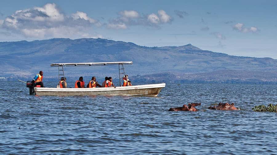 A day tour; Lake Nakuru national park& L. Naivasha Boat ride - Key points to know before booking