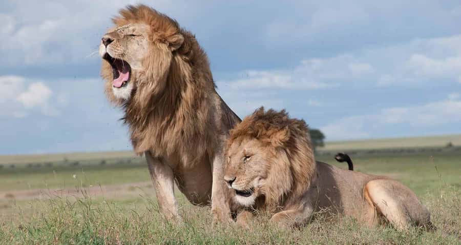 A day tour; Lake Nakuru national park& L. Naivasha Boat ride - Entering Lake Nakuru National Park