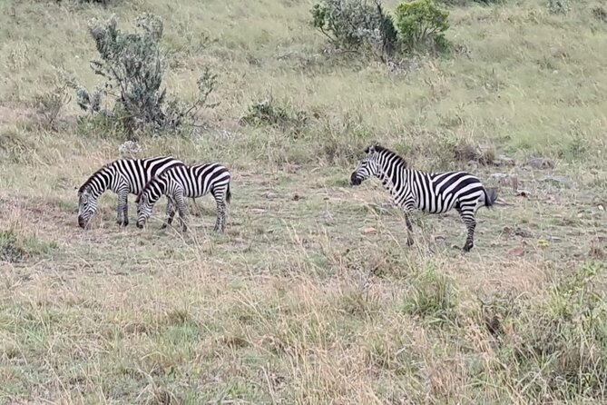 A thrilling Kenya 4 Days Adventure: Masai Mara &Lake Nakuru - Day 3: A cultural stop and the road to Lake Nakuru