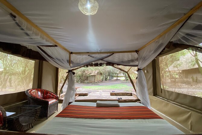 Adventure-fueled 3 Days Maasai Mara Safari - What the price really buys you