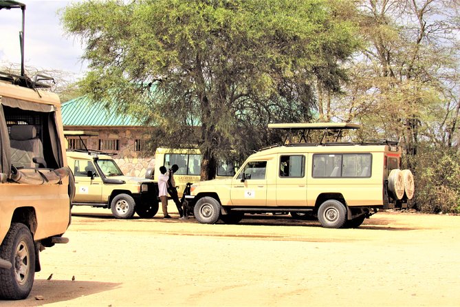 Adventure-fueled 3 Days Maasai Mara Safari - Day one: lunch at camp and the first game drive