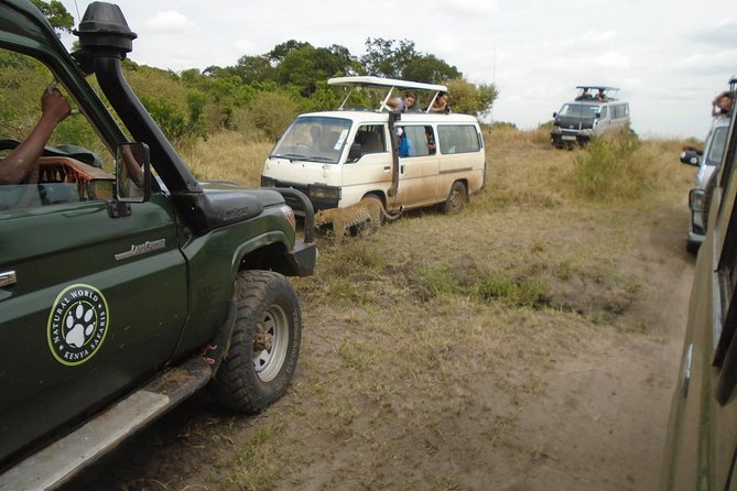African Wildlife & Nature - 5 Kenya national parks - 6 day Jeep Safari - Why this six-day Kenya route works