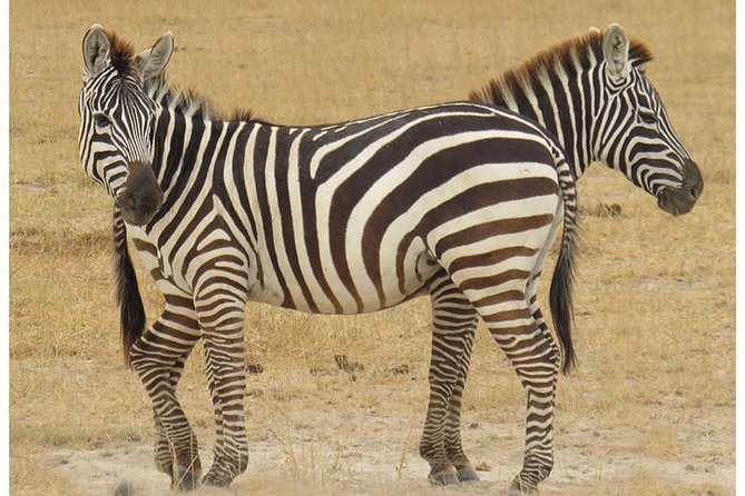 African Wildlife & Nature - 5 Kenya national parks - 6 day Jeep Safari - Day 4: Hell’s Gate by bicycle, then Maasai Mara
