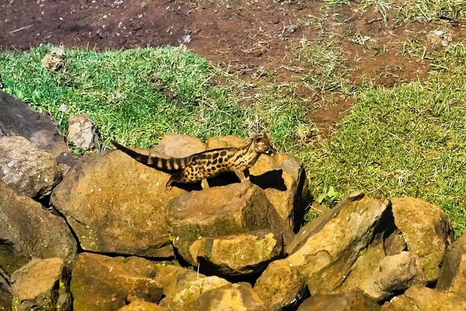 African Wildlife Safari 7 Days - Day 1: A gentle start at Sarova Panafric Nairobi