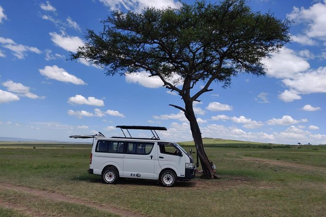 Afternoon half day mini safari to Nairobi National Park - Timing, comfort, and what to bring