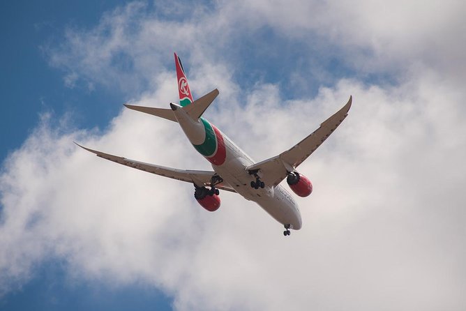 Airport Pick Up To Nairobi National Park / Drop Off - Why this works well for a Nairobi layover