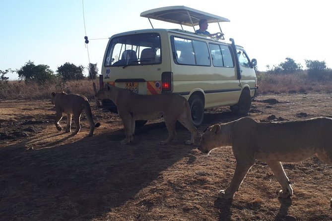 Airport Pick Up To Nairobi National Park / Drop Off - Paying at the gate and starting the game drive