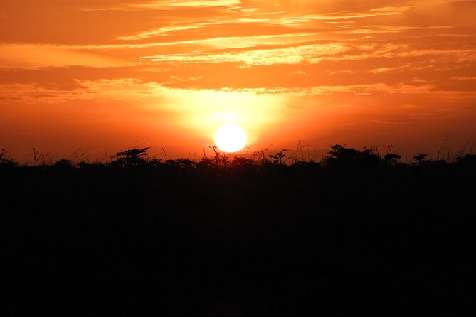 Amboseli Day Tour from Nairobi - Five hours of game viewing, with real limits
