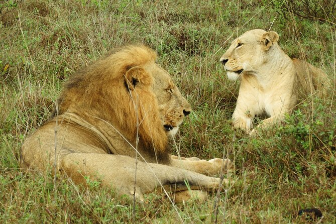 Amboseli Day Tour from Nairobi - Is $190 good value for this day safari?