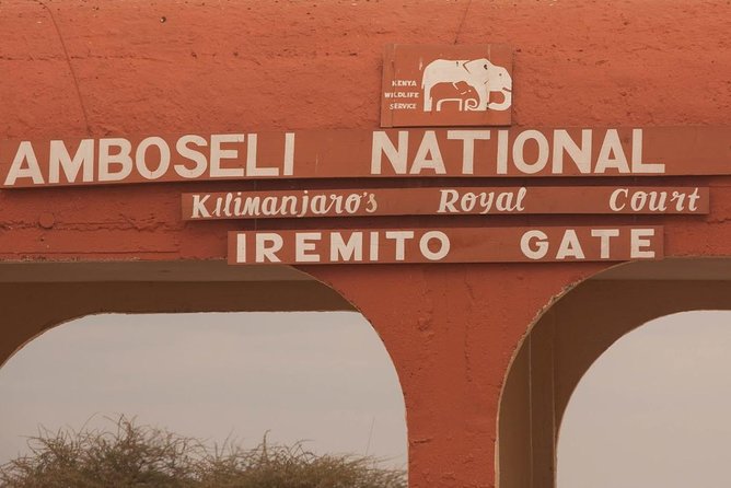 Amboseli Day Trip from Nairobi - The afternoon game drive