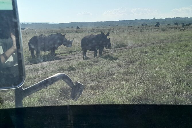 Amboseli day trip with pick up - Adding a Maasai village visit