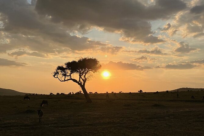 Amboseli day trip with pick up - Kilimanjaro as your safari backdrop