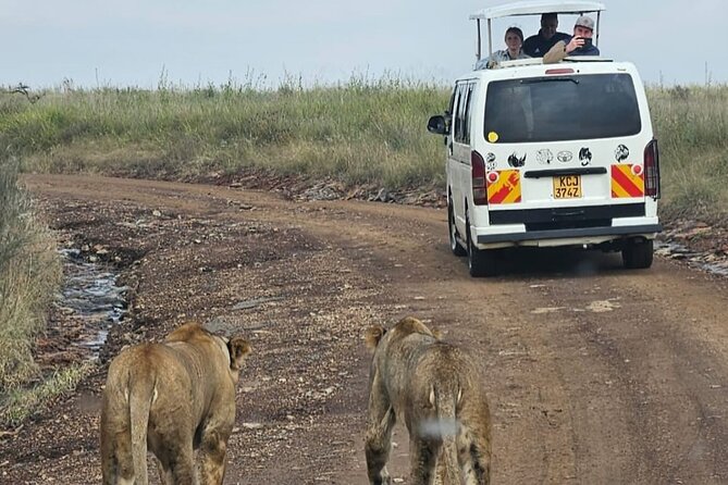 Amboseli Day Trip with Pickup - Why Amboseli works for a one-day safari