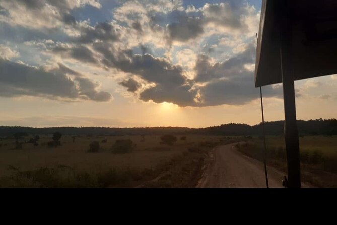 Amboseli Day Trip with Pickup - The Kilimanjaro factor