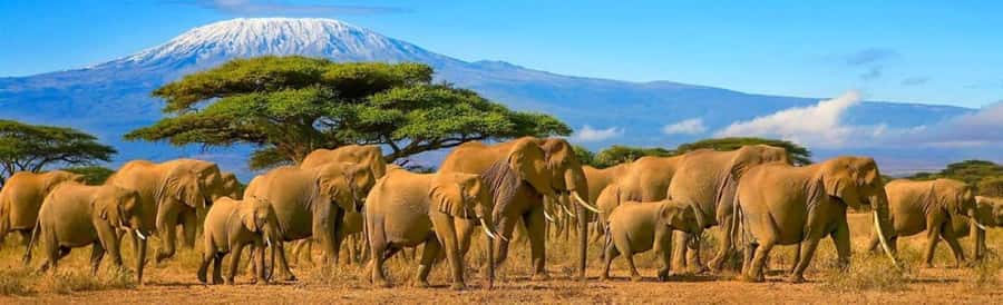Amboseli National Park 3-Day Safari from Nairobi - Why Amboseli works so well from Nairobi