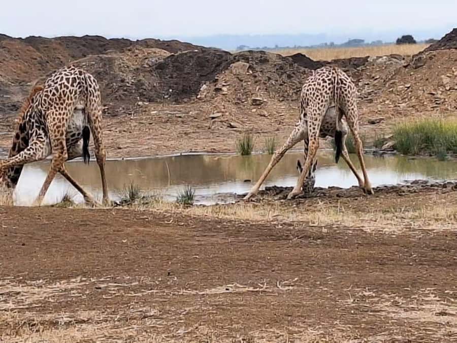 Amboseli National Park 3-Day Safari from Nairobi - The Maasai village visit adds a human connection