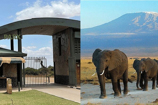 Amboseli National Park Day tour; Free Wifi Connection - What the $199 price really covers