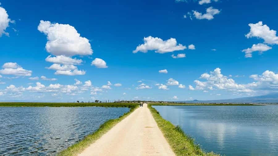 Amboseli National Park Day Trip and Maasai Village Visit - FAQ