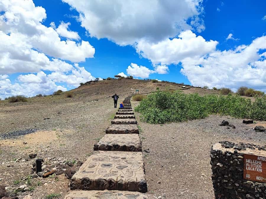 Amboseli National Park Day Trip and Maasai Village Visit - Who should choose this day trip