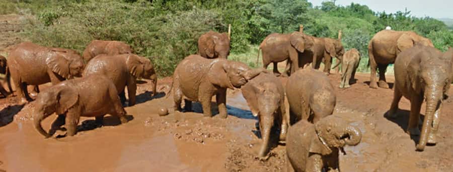 Amboseli National Park Day Trip from Nairobi - Why Amboseli works as a Nairobi day trip