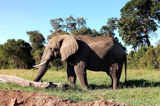 Amboseli National park Day trip:Mt kilimanjaro Views - Entering Amboseli National Park