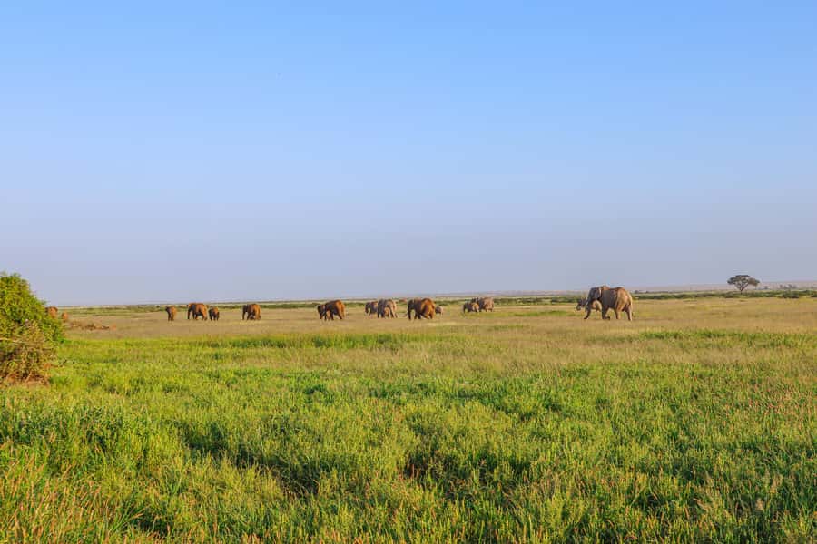 Amboseli National Park: Daytrip from Nairobi in a 4X4 Jeep - Entering Amboseli National Park