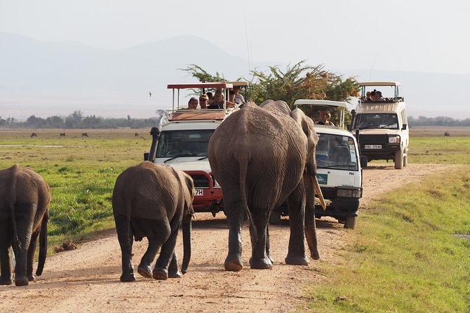 Amboseli National Park Full Day Guided Tour - Key points to know before booking