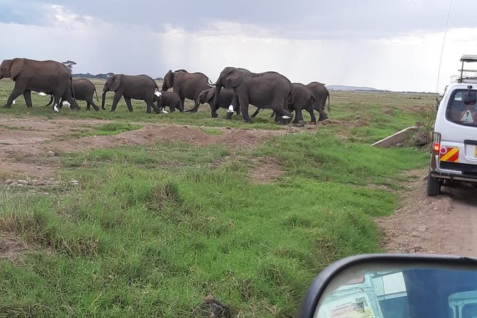 Amboseli National Park Full Day Guided Tour - The return to Nairobi after the game drive