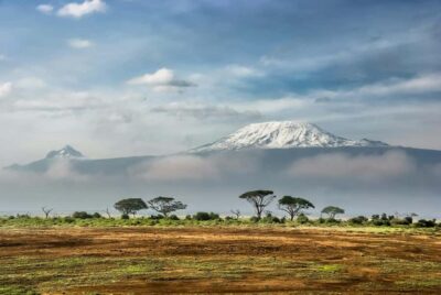 Amboseli National Park: Full Day Tour From Nairobi
