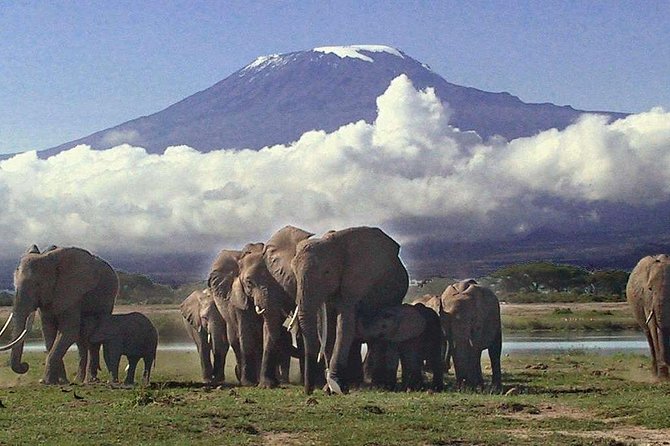 Amboseli National Park: Guided Full Day Tour - The Nairobi pickup and the real meaning of a 12-hour day