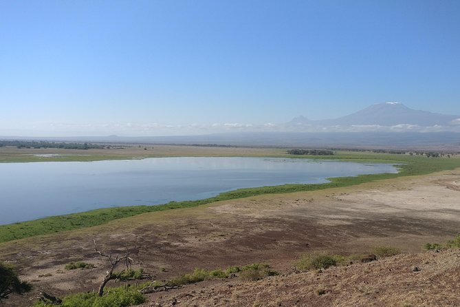 Amboseli Overnight Trip - Why Amboseli’s elephants are the main attraction