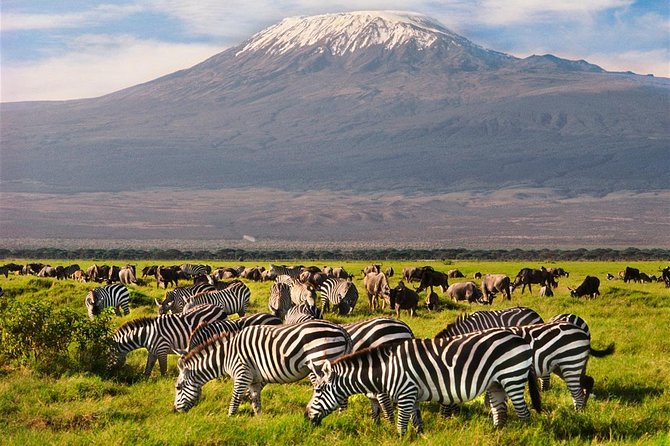Amboseli Park & Kilimanjaro views Day tour - What the $200 price really covers