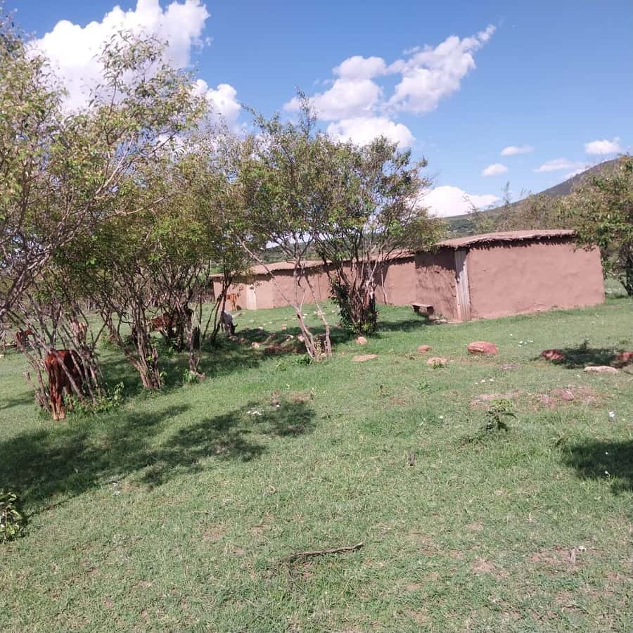 Amboseli Wildlife Day Tour And Masai Village Visit - Leaving Nairobi at 5am for the open-roof van
