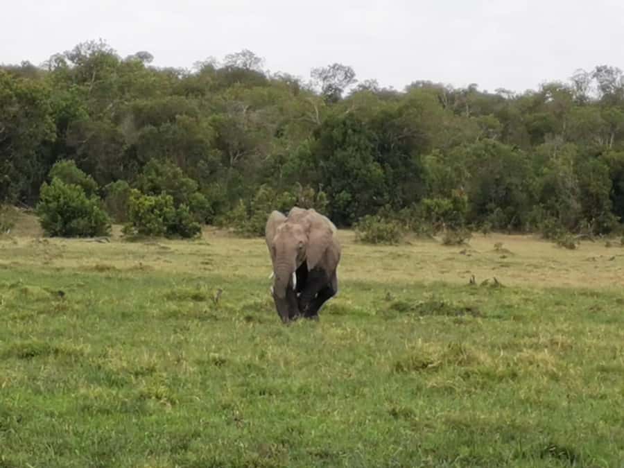 Amboseli Wildlife Day Tour And Masai Village Visit - The Observation Hill view