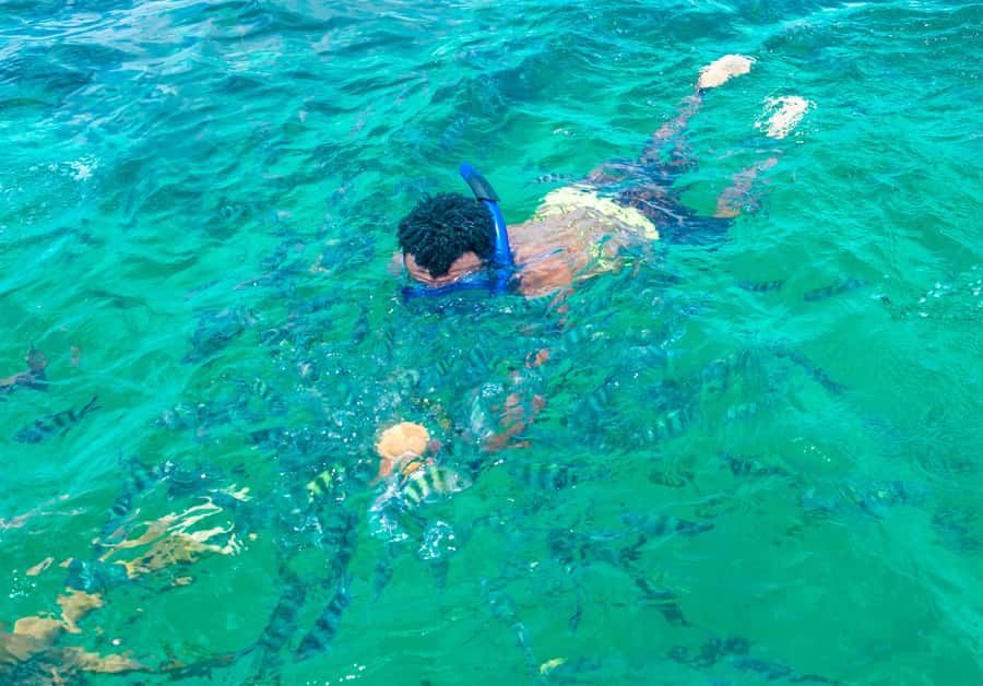 Blue Safari: Snorkeling at Watamu Marine Park & Seafood - What the snorkeling stop is really like