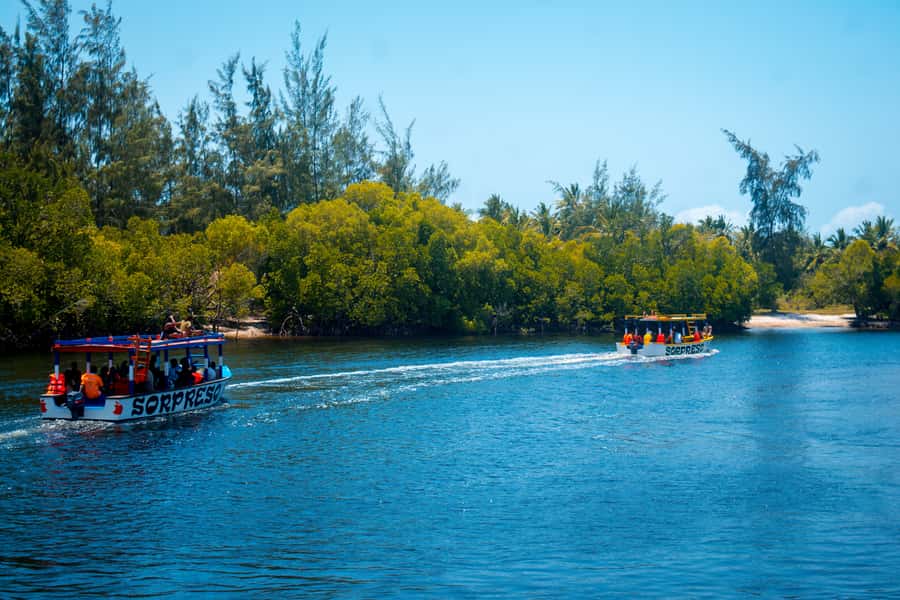 Blue Safari: Snorkeling at Watamu Marine Park & Seafood - How much value do you get for $110?