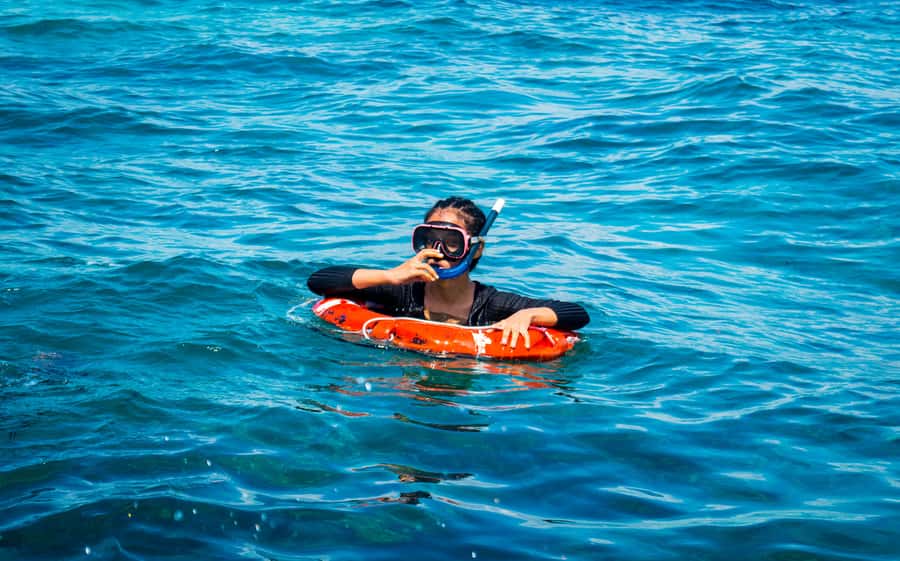 Blue Safari: Snorkeling at Watamu Marine Park & Seafood - Seeing Watamu Marine Park from the boat