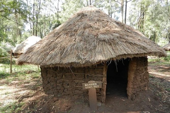 Bomas half day tour from Nairobi - How the private tour changes the experience