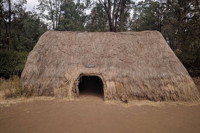 Bomas of Kenya Half-Day Tour from Nairobi - The performance: music, dance, and ceremony