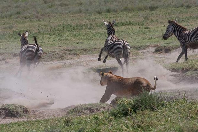 Classic Best Adventure In Kenya And Tanzania 2025 - Why this Kenya and Tanzania route works