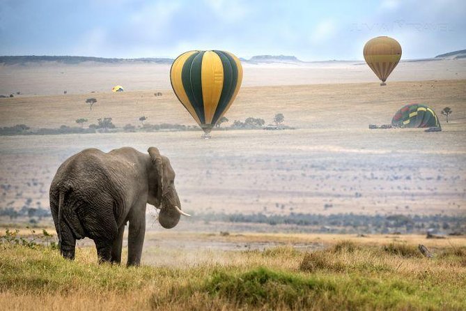 Classic Best Adventure In Kenya And Tanzania 2025 - Day 4: Crossing into Tanzania and visiting Lake Manyara