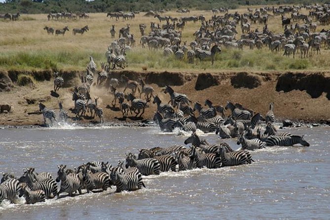 Classic Luxury 4 X 4 Masai Mara Safari - Day three: more game viewing or a slower camp day